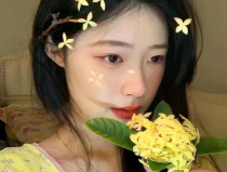 贪财的小姐姐头像,揭秘现代都市女性的财富追求与生活态度